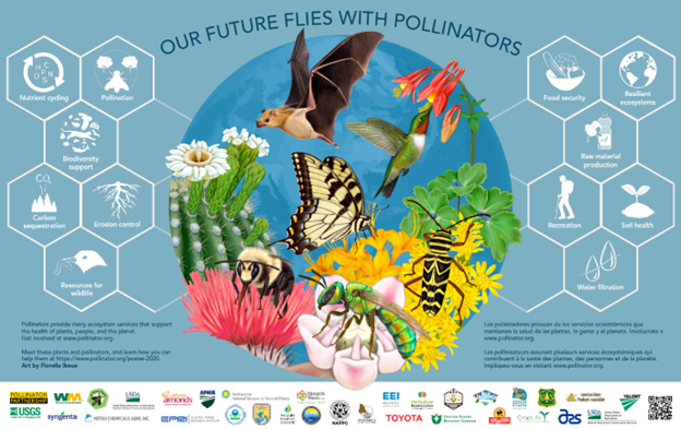 Our future flies with pollinators graphic from Pollinator.org