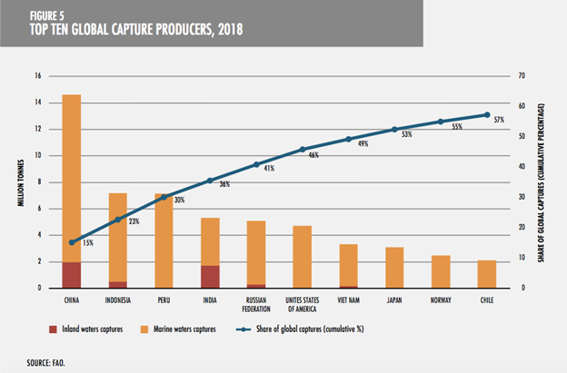 Graph of Top ten global fishing capture producers 2018; largest is China followed by Indonesia, Peru, India