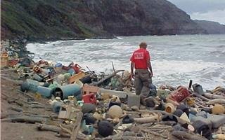 Plastic waste on a beach