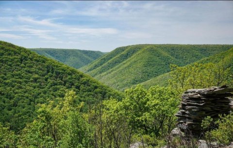 landscape view of  green mountains