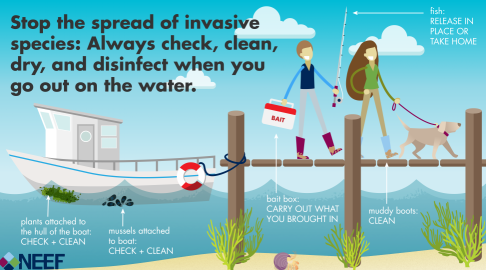 invasive species infographic thumbnail