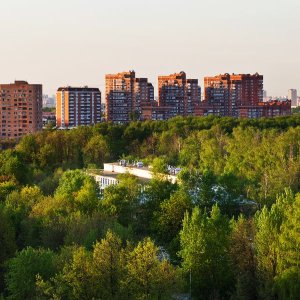 a green urban forest in front of a row of buildings