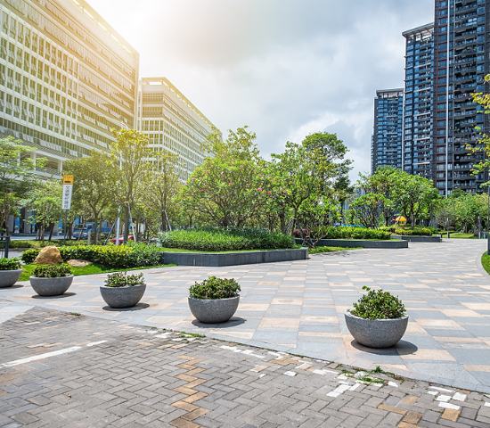Green space surrounded by tall buildings