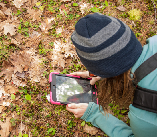 person with long hair wearing hat taking photo with phone of leaves on the ground