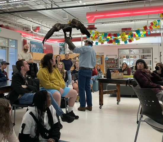 a raptor demonstration in a school classroom