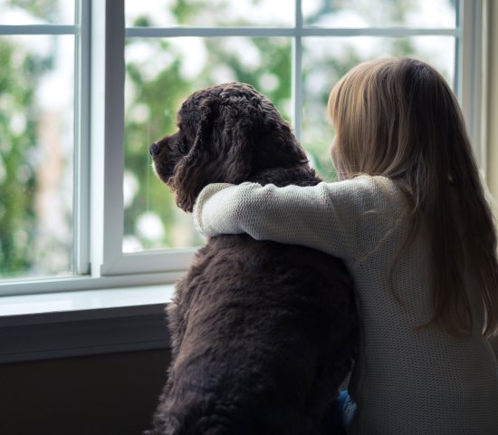 Girl and her dog in the window