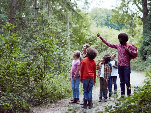 Photo of teacher pointing to something in forest talking to students