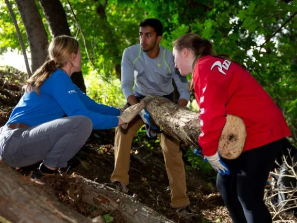 a group of young adults position a tree log as part of trail maintenance project