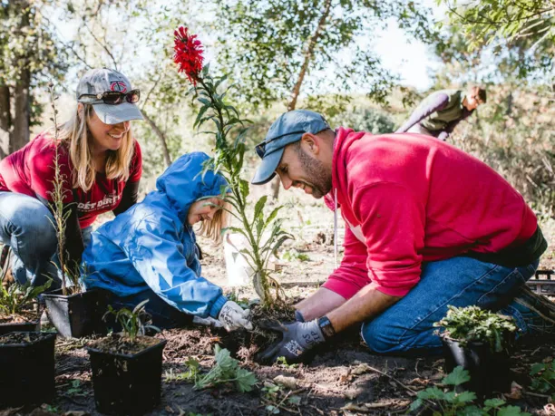 Two parents help their small child plant a large red flower in a park