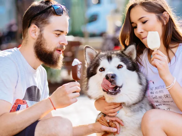 Couple eating ice cream with their dog