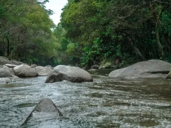 photo of a freshwater river running over rocks