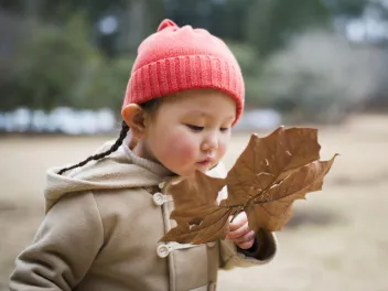 Young girl looking a large leaf from a tree