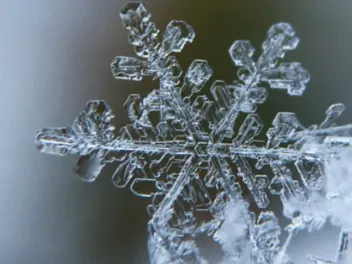Snowflake close up