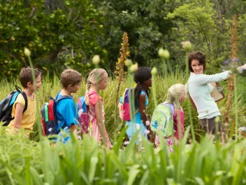 A teacher leads a diverse group of children through an overgrown meadow, pointing out something in the distance