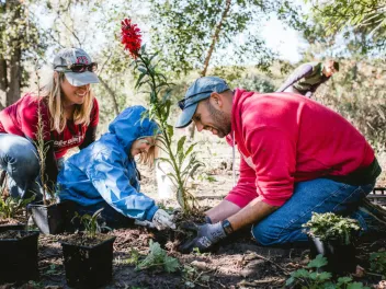 Two parents help their small child plant a large red flower in a park