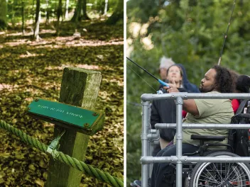 Photo collage of people in wheelchair in nature, braille on a sign and a sign with directions for hearing impaired